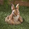 Accent Plus Stone-Look Bunny Garden Sculpture