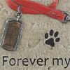 Accent Plus Pet Memorial Stepping Stone - Forever My Best Friend