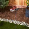 Accent Plus Ladybug Solar Fairy Light Garden Stake