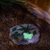 Accent Plus Glow-in-the-Dark Butterfly Stepping Stone