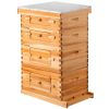 VEVOR Beehive Box Kit Bee Honey Hive 40 Frames 2 Deep 2 Medium Natural Fir Wood