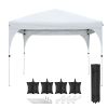 10X10ft Canopy Tent Grey