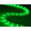 LED Rope Light 150ft Green