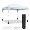 10X10ft Canopy Tent Grey