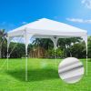 10X10ft Canopy Tent Grey