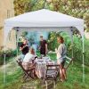 10X10ft Canopy Tent Grey