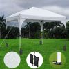 10X10ft Canopy Tent Grey