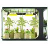 Grow Tent 2in1