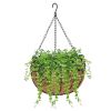 Lawn Supplies Round Coconut Palm Plants Hanging Basket