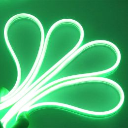 Neon LED Light (Color: Green)